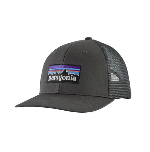 Patagonia P-6 Logo Trucker Hat